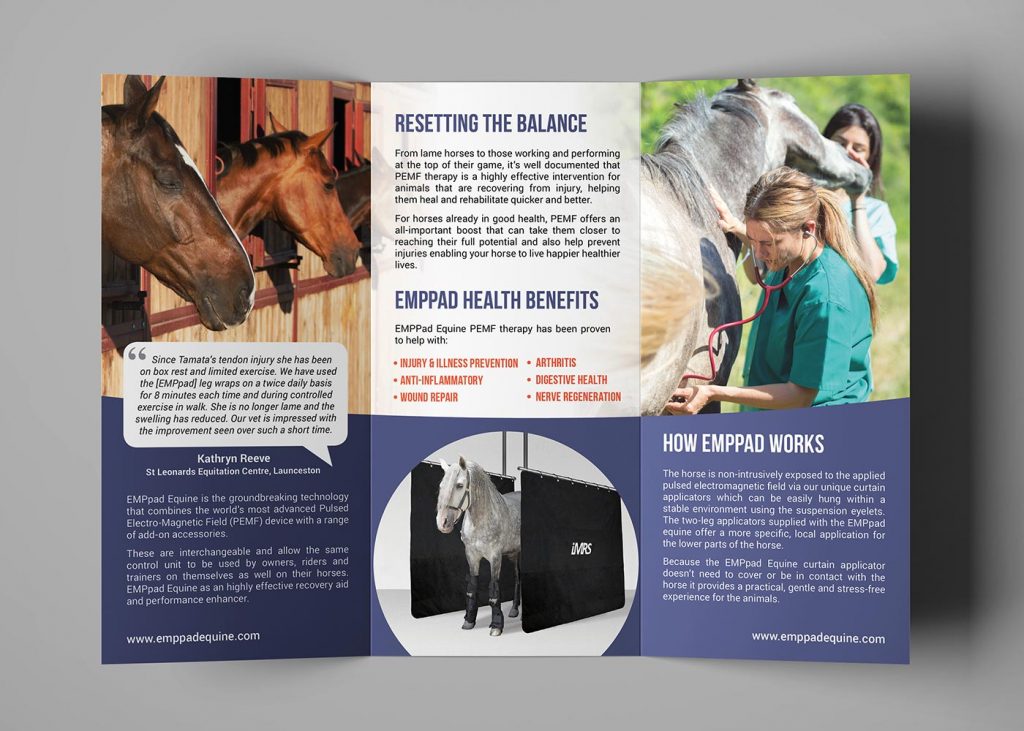 EMPpad equine tri-fold brochure design